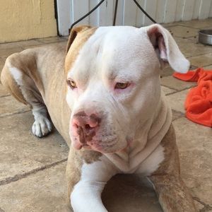 Meet your Posher, Angie